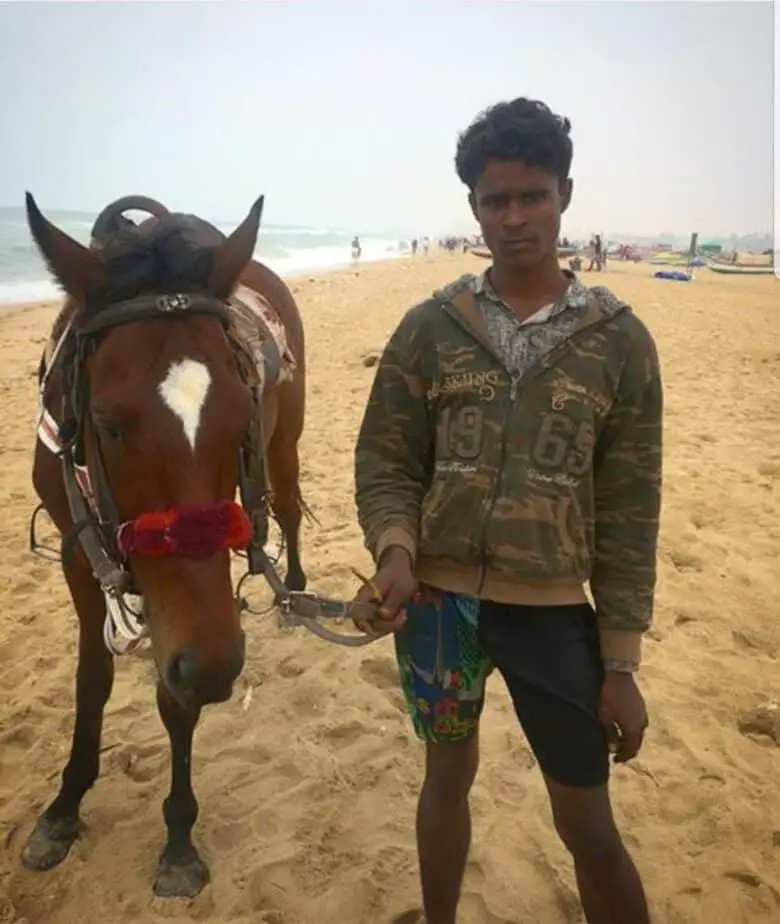 Marina Beach Chennai