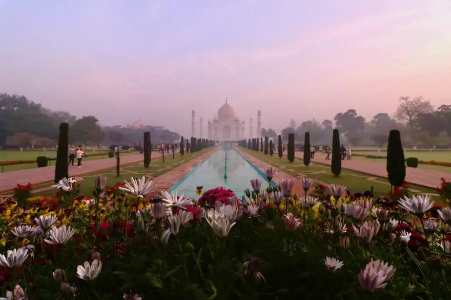taj mahal with flowers in foreground pink sky