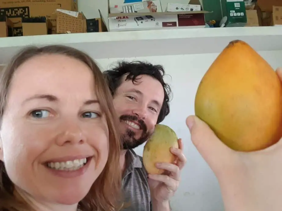 Vegan mangoes India
