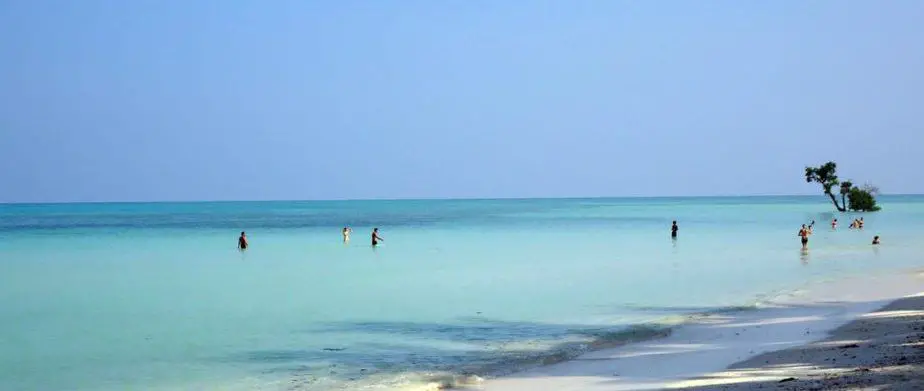 havelock island beach andaman nicobar sea blue waters with beach and blue skies