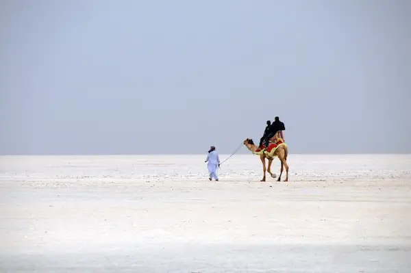 A closeup shot of tourists on a camel with a guide in desert of white salt in Dhordo village, India
