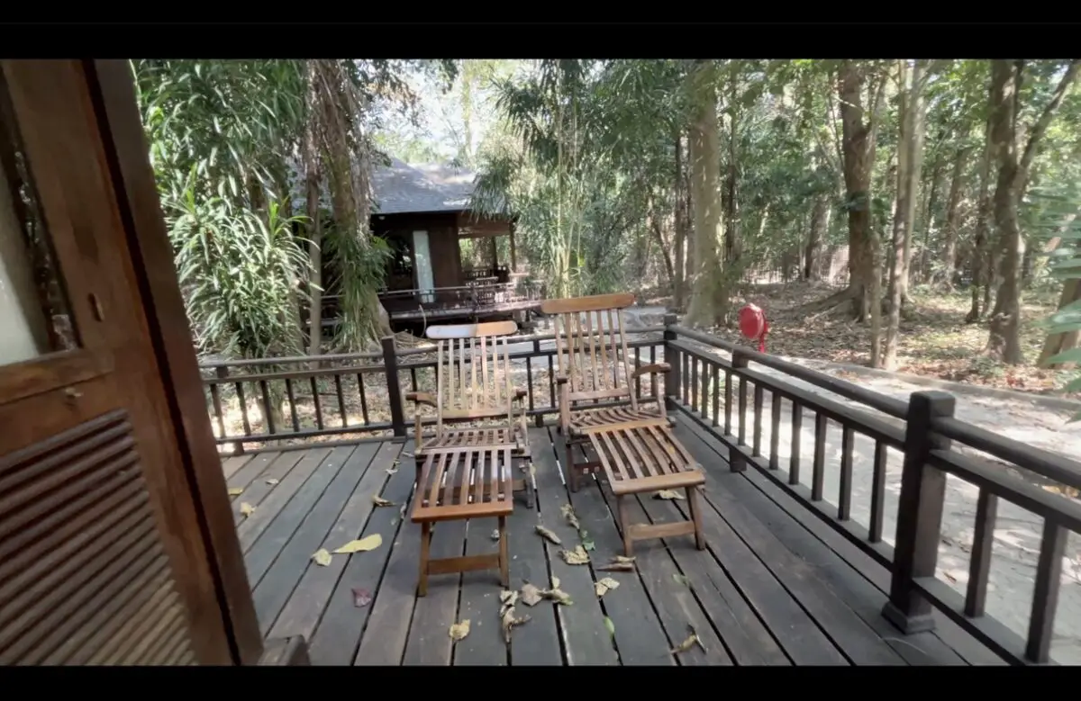 Barefoot at Havelock cabin with porch and chairs in forest