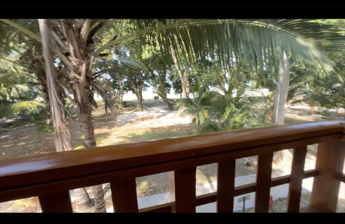 Dolphin Resort views from balcony